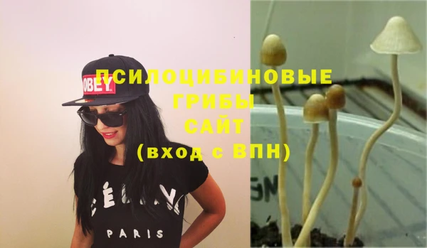кокс Кукмор