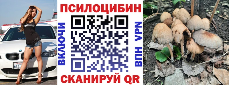 Псилоцибиновые грибы мухоморы  Купить  Куровское 