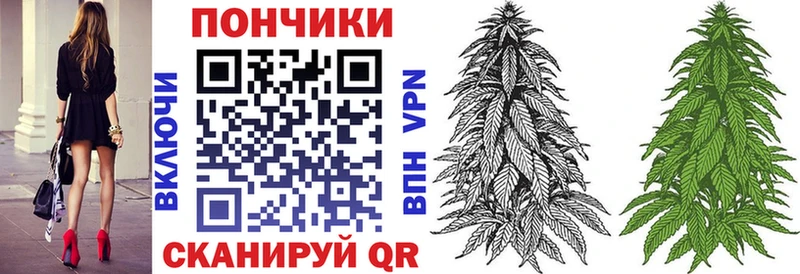 Шишки марихуана OG Kush  Купить закладки  Куровское 